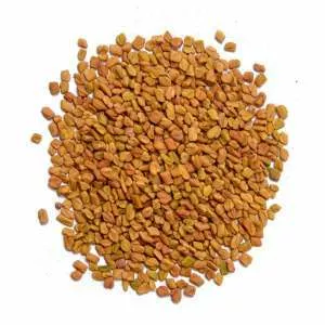 Fenugreek - Plants