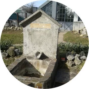 Ferdinand Albin Pax - German botanist