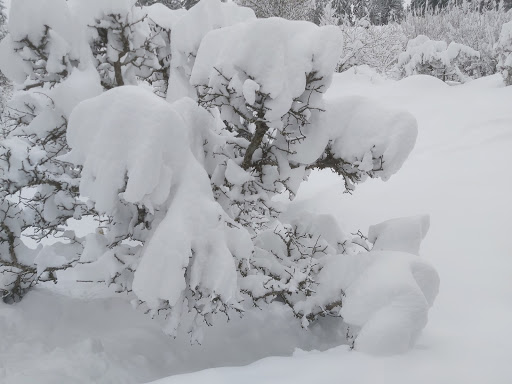 Ferienwohnungen Fritz - Centa und Franz Fritz - Holiday apartment rental in Grainau, Germany