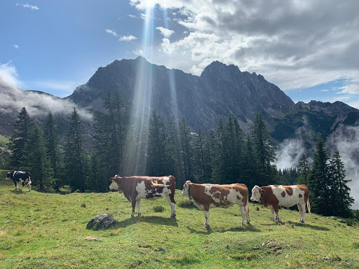 Ferlhof - Holiday apartment in Krun, Germany