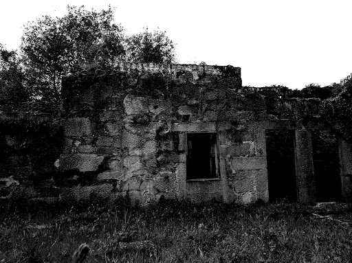 Fermartins Sociedade De Transportes Lda.