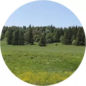 Ferme d'Herbouilly - 