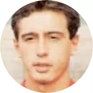 Fermín de Luis Marín (Fermín de Luis)