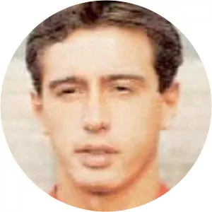 Fermín de Luis Marín