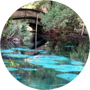 Fern Hammock Springs
