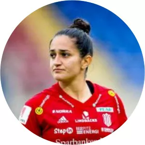 Fernanda Caroline da Silva