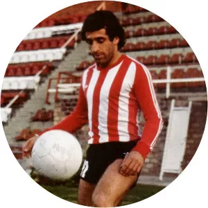 Fernando Alí