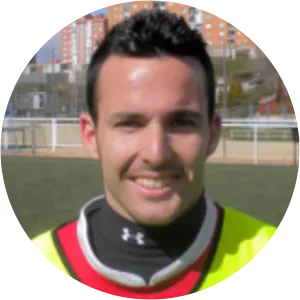 Fernando Calleja Revilla