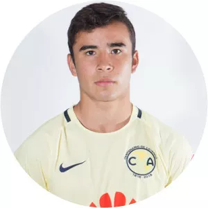 Fernando Illescas Mariñelarena