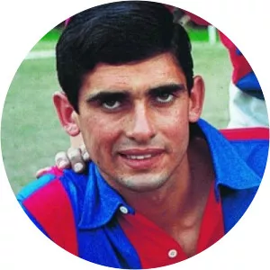 Fernando José Areán