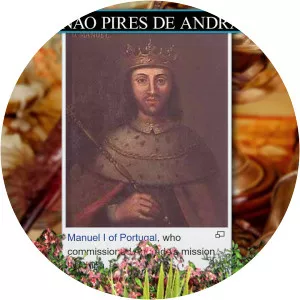 Fernão Pires de Andrade