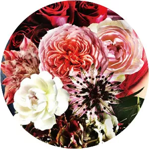 keishi yonao feromen