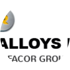 Ferro Alloys Corporation Limited