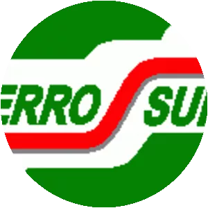 Ferrosur - Company