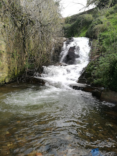Fervenza de Barreiro - Park in Vigo, Spain