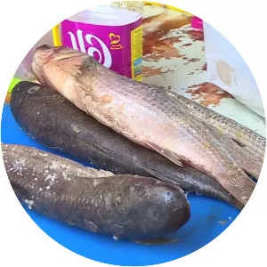 Fesikh - 