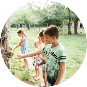 Festetics Állatpark Gyenesdiás