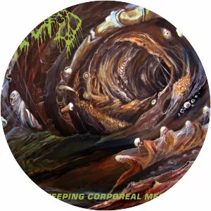 Fetid - Musical group