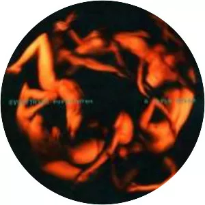 Fever Dream: A Novel