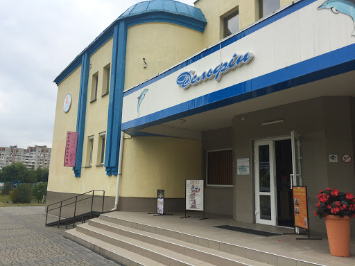 Feya Salon-Perukarnya - Hair salon in Lviv, Ukraine