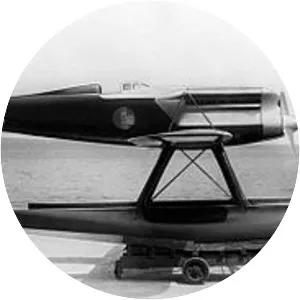 Fiat C. 29