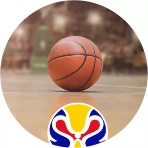 FIBA World Cup BasketballSince 2014
