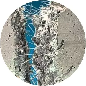 Fiber-reinforced concrete photograph