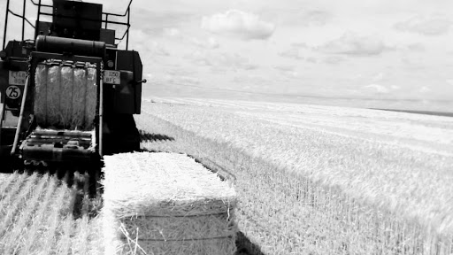 Fidalgo, Paja y Forrajes