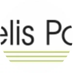 Fidelis Partners, Inc. - Company