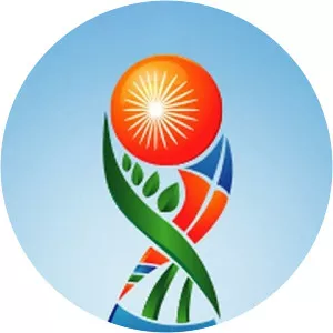 FIFA Under 17 World Cup FootballSince 2011