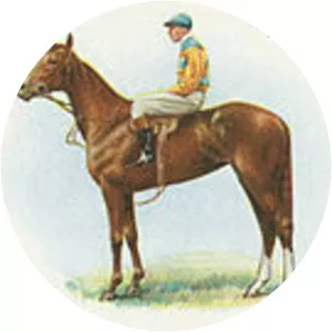 Fifinella - Horse