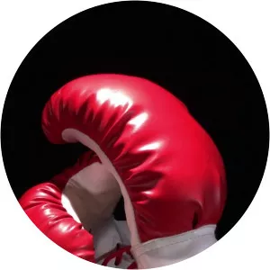 Fight Sports: BoxingSince 2016 - 2016 ‧ 7 seasons