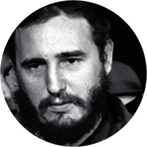 Fighting the Giants: The Castros' Revolution vs the World