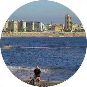 Figueira da Foz