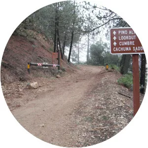 Figueroa Mountain - Summit in California