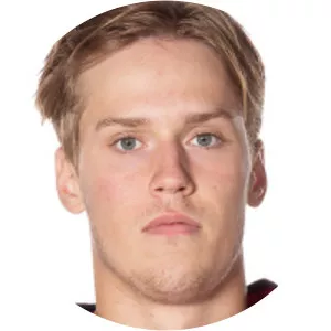 Filip Barklund - Ice hockey player