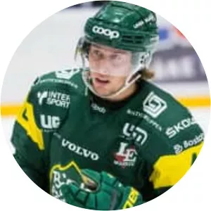 Filip Cruseman - Swedish ice hockey player