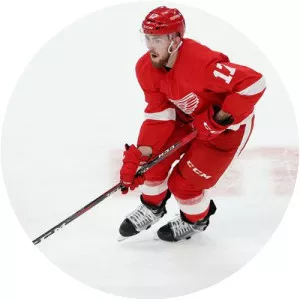 Filip Hronek - Ice hockey defenceman