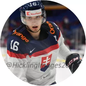 Filip Krivošík - Slovak ice hockey player
