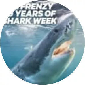 Fin Frenzy: 30 Years of Shark Week - TV program