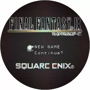 Final Fantasy IX Chips