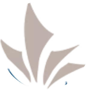 Financial Transactions and Reports