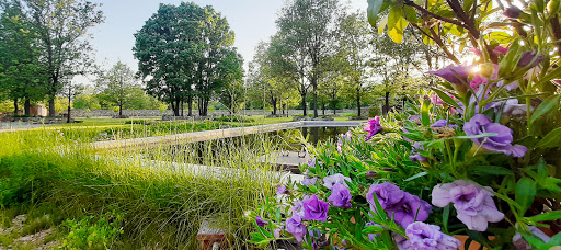 FINCA EL ROBLEDO RASCAFRIA