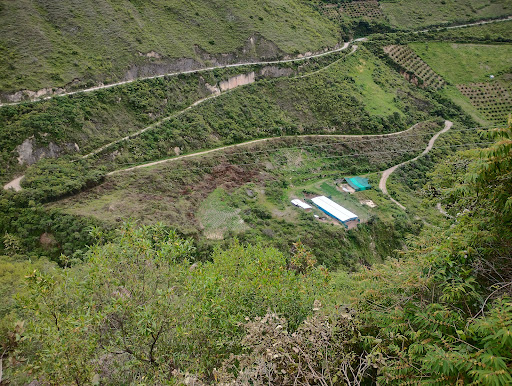 Finca Europa - Farm in Colcabamba District, Tayacaja, Peru