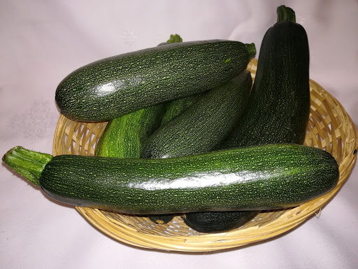 Finca O Castelo - Organic farm in Spain