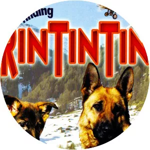 Finding Rin Tin Tin