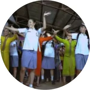 Finding Srimulat - 2013 film