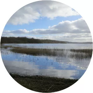 Finjasjön - Lake in Sweden