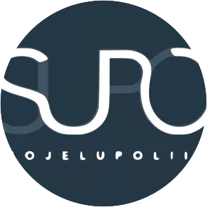 Finnish Security Intelligence Service - Security agency