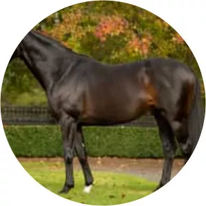 Fiorente